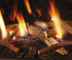 Chimeneas a gas natural decoración fuego Ramas estandar